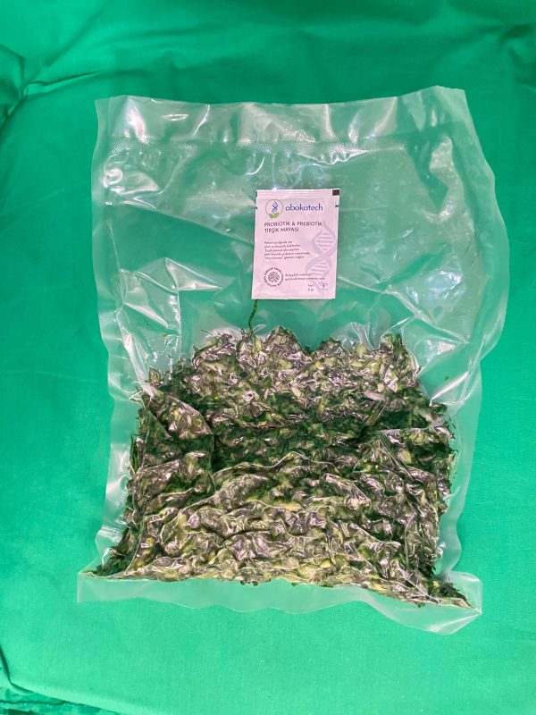 Tirşik Pancarı 500 gr, 1 Adet Tirşik Mayası Hediye